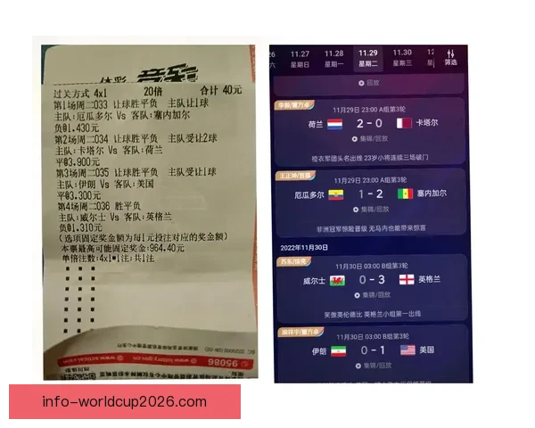 世界杯竞猜官网全面升级 提供更精准预测与实时数据分析